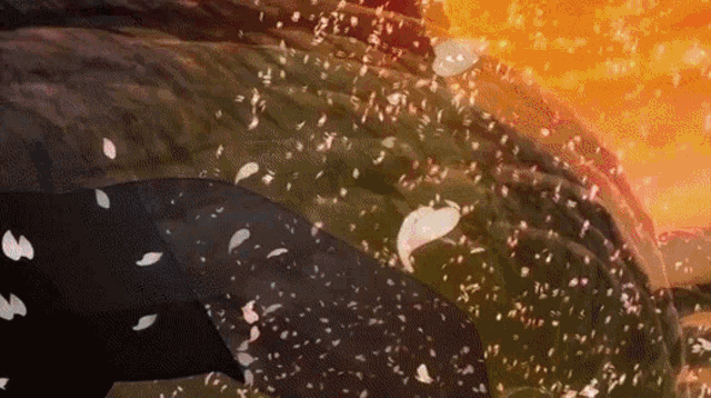 a person is standing on a hill with petals falling from the trees .