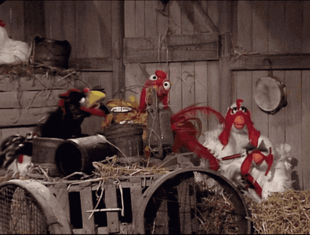 Muppets Muppet Show GIF - Muppets Muppet Show Chickens GIFs