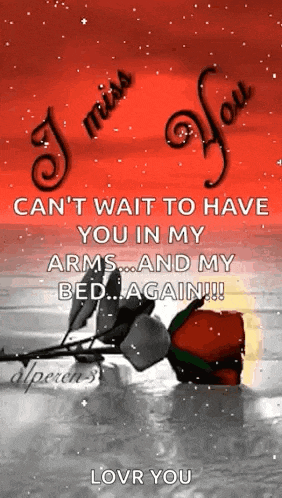 i miss you can 't wait to have you in my arms and my bed again !!! love you