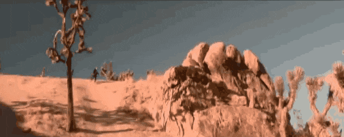 a painting of a desert landscape with a tree and rocks