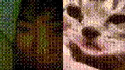 a close up of a woman 's face and a close up of a cat 's face .