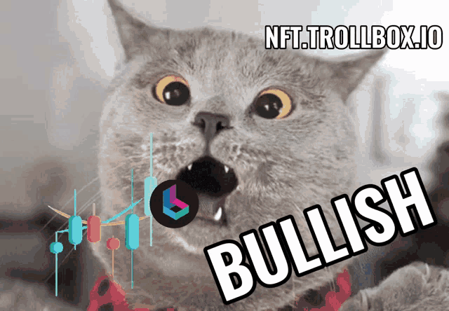 a cat with a nft.trollbox.io logo on it