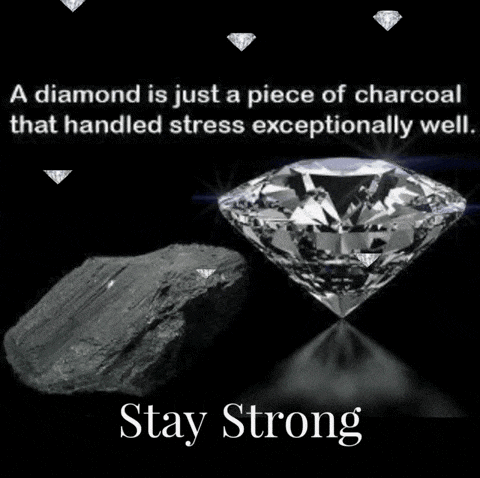 a diamond is just a piece of charcoal that handled stress exceptionally well.