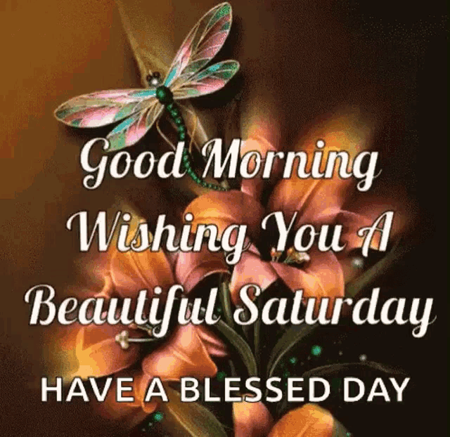 a dragonfly is sitting on a flower with the words `` good morning wishing you a beautiful saturday have a blessed day '' .