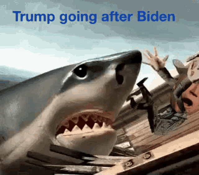 Trump Biden GIF - Trump Biden 2020 GIFs