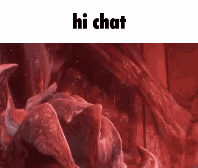a screenshot of a video game with the words `` hi chat '' written on the bottom .