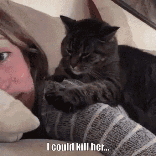 a cat is laying on a woman 's socks and looking at her .