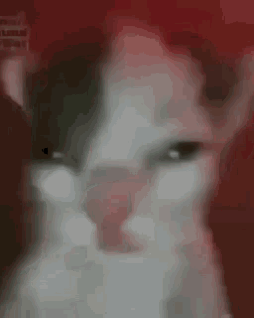 a close up of a person 's face with a red background