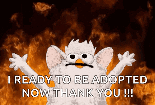 a cartoon character is ready to be adopted now thank you