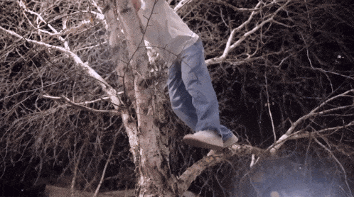a person climbing a tree with a white shirt that says ' abercrombie & fitch '
