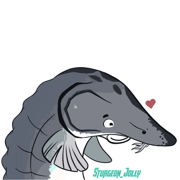 a drawing of a fish with the name surgeon jolly on the bottom right