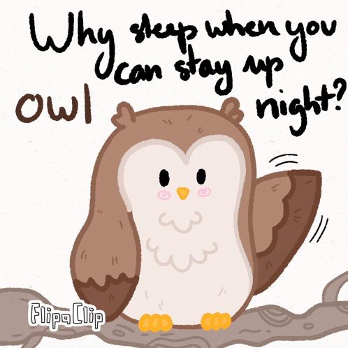 a drawing of an owl with the words " why sleep when you can stay up night " below it