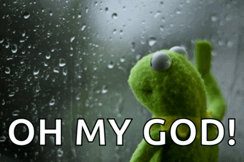 kermit the frog looking out a window with the words oh my god written above him