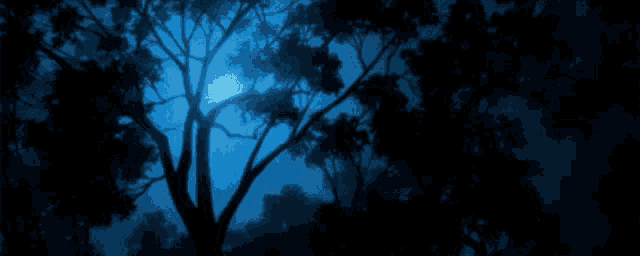 a tree silhouetted against a blue sky with a crescent moon