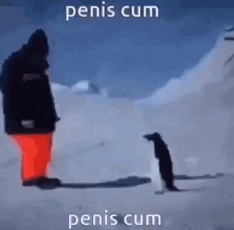 a man is standing next to a penguin in the snow and the penguin is looking at the man .