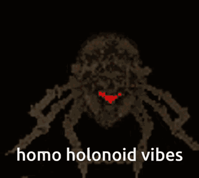 a spider with a red face and the words homo holonoid vibes