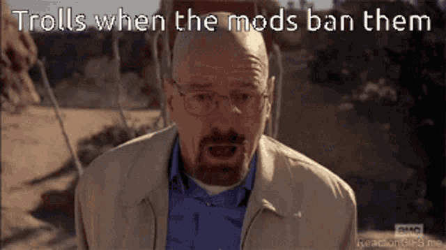 a man with glasses and a beard says trolls when the mods ban them ..