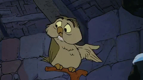 Who Knows Who Knows Anything GIF - Who Knows Who Knows Anything Owl GIFs