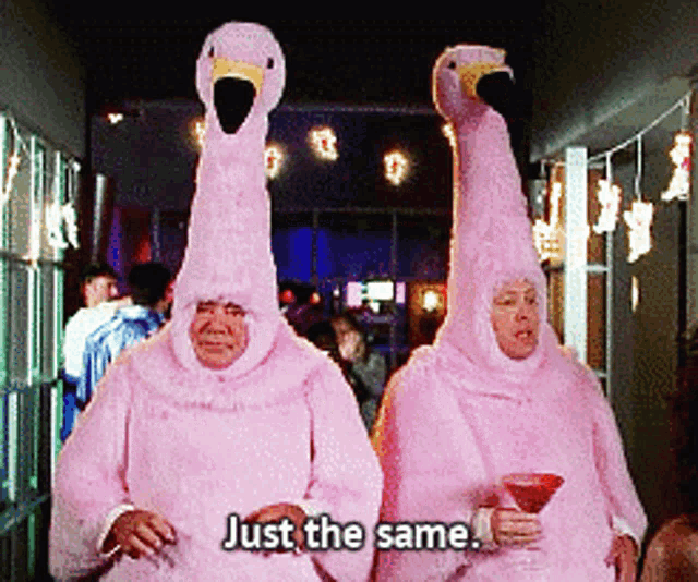 two people in pink flamingo costumes are holding martinis and saying just the same