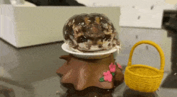 a frog is sitting on top of a plate next to a basket .