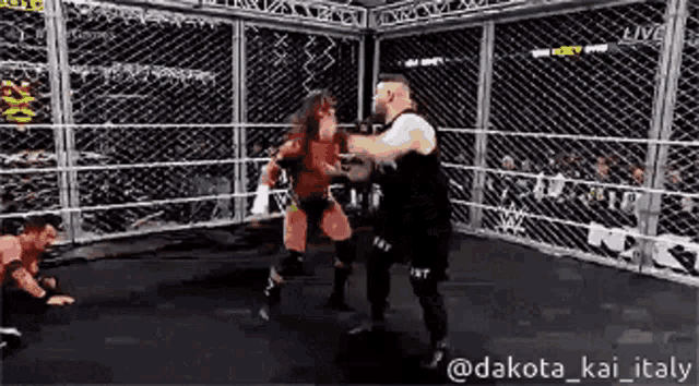 two wrestlers are fighting in a cage with a crowd in the background .