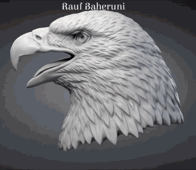 Raufbaheruni Rauf Rauf Baheruni Saiyad GIF - Raufbaheruni Rauf Rauf Baheruni Saiyad GIFs