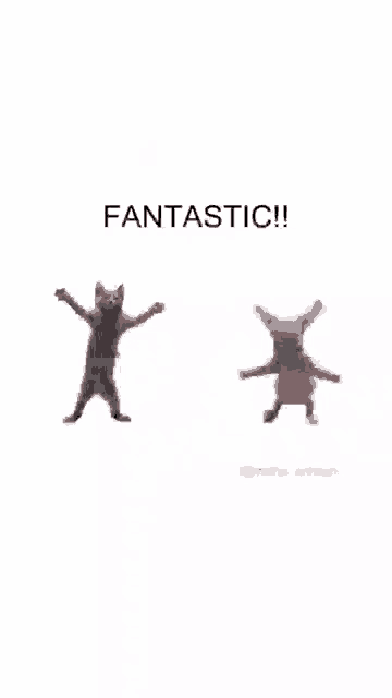 a cat and a dog are dancing and the words fantastic are on the bottom
