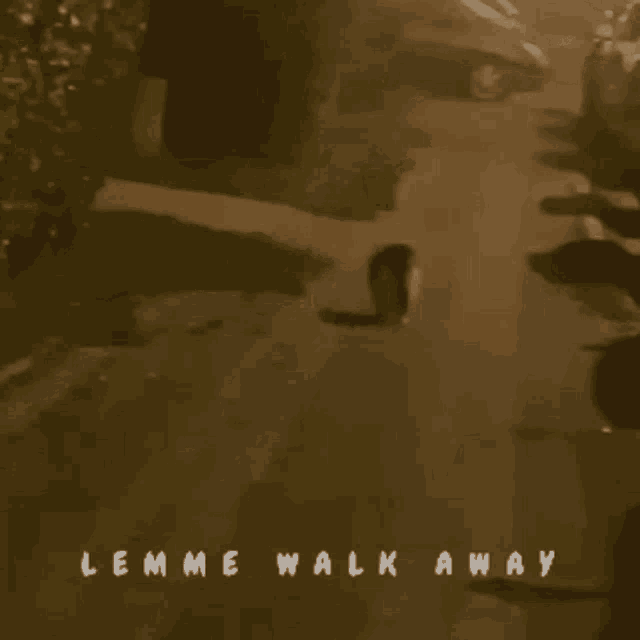 a cat walking down a street with the words lemme walk away