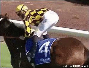 The Dedication GIF - Horse Jockey Ride GIFs