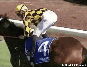 a jockey is riding a horse with the number 4 on its saddle