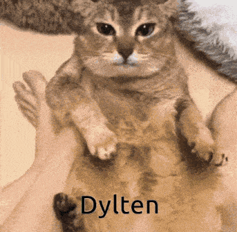 a person is holding a cat with the name dylten written on the bottom