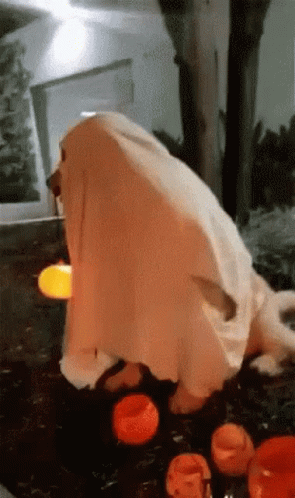 Halloween Doggo GIF - Halloween Doggo Ghost GIFs