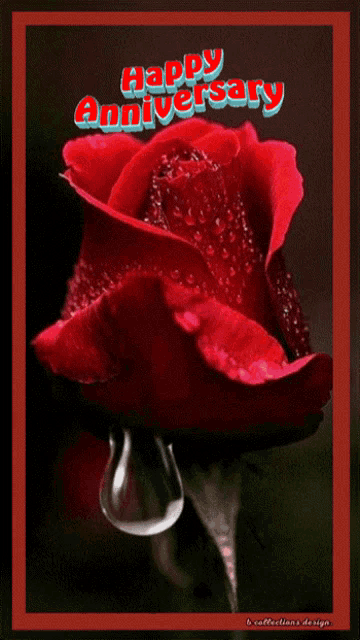 a red rose with water drops on it and the words happy anniversary above it