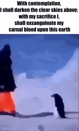 a penguin is standing in the snow with a quote that says with contemplation , i shall darken the clear skies above