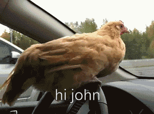 a chicken is sitting on the steering wheel of a car and the words hi john are below it