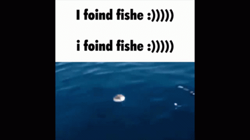 I Foind Fishe Fishe GIF - I Foind Fishe Fishe Nah Nvm GIFs