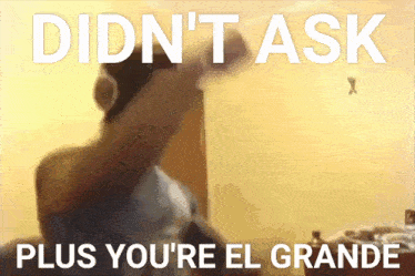 a poster that says " didn t ask plus you 're el grande "