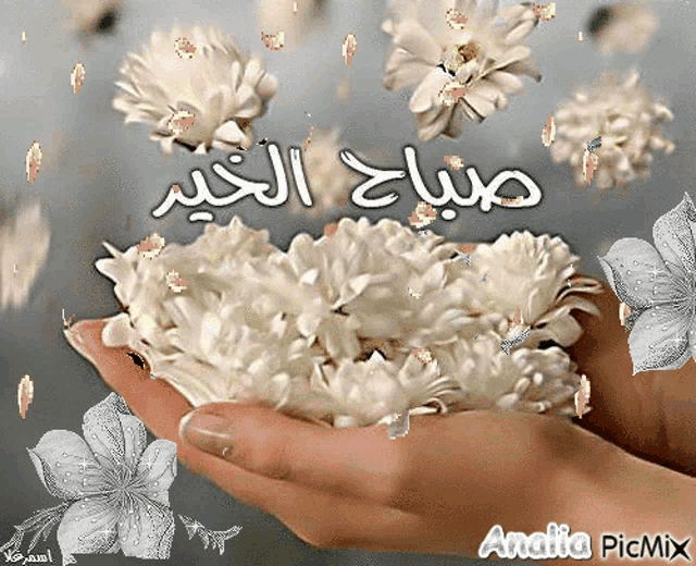 a woman is holding a bowl of white flowers with arabic writing