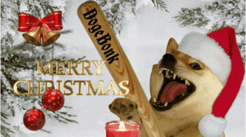 Dogecoin Doge Meme GIF - Dogecoin Doge Meme Doge GIFs