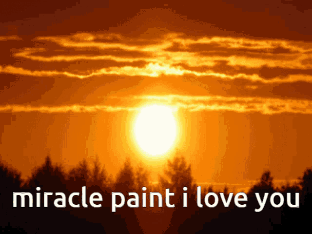 a sunset with the words " miracle paint i love you "