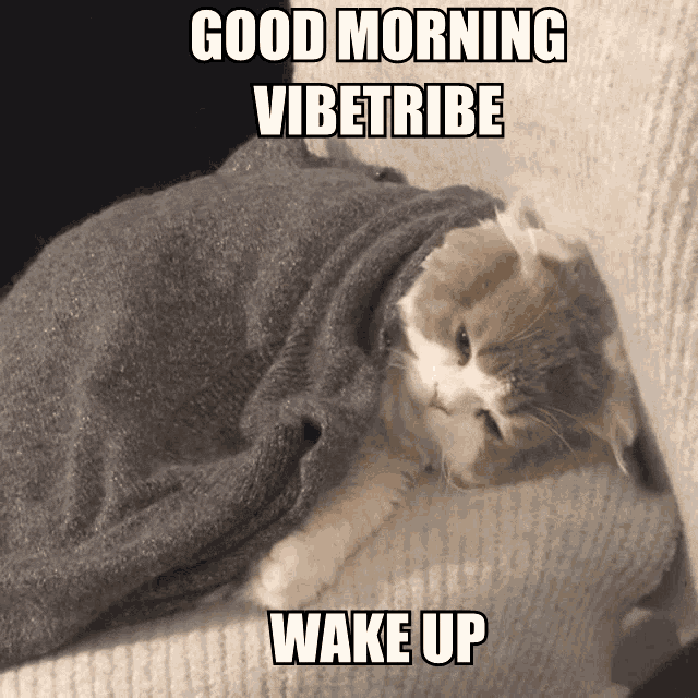 Good Morning Good Morning Vibetribe GIF - Good Morning Good Morning Vibetribe Vibetribe GIFs