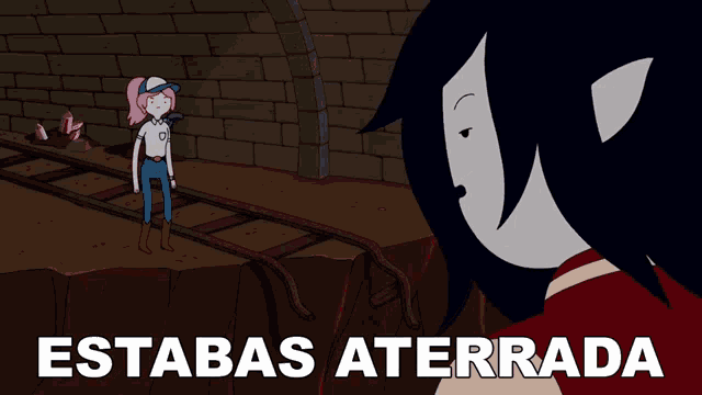 a cartoon of marceline and bubblegum standing next to each other with the words estabas aterrada above them