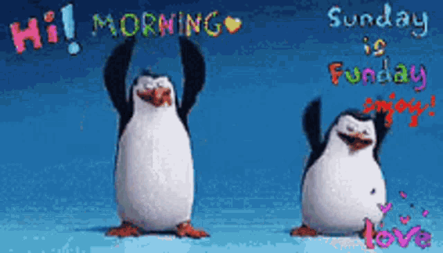 two penguins are standing next to each other with the words hi morning sunday is sunday enjoy