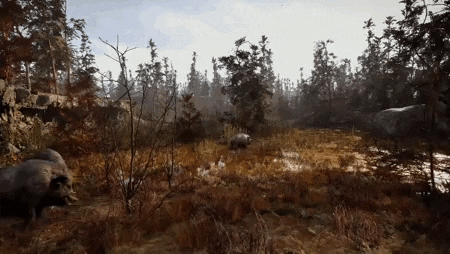 a group of pigs are walking through a field in a forest .