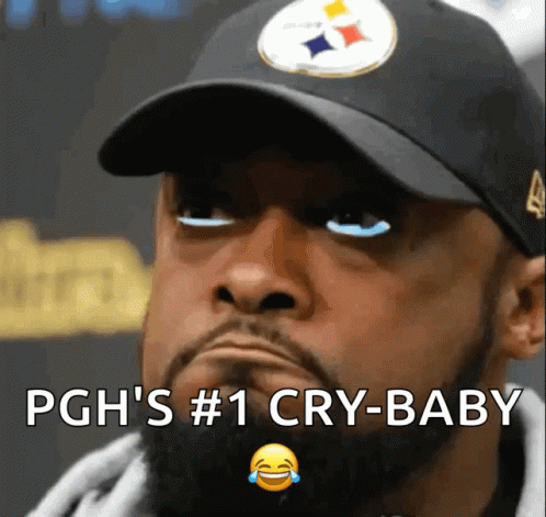 Mike Tomlin GIF - Mike Tomlin Cry GIFs