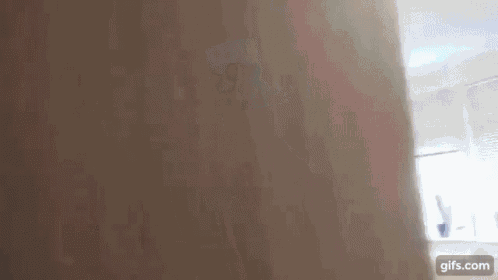 a close up of a person 's torso with a blurred background .