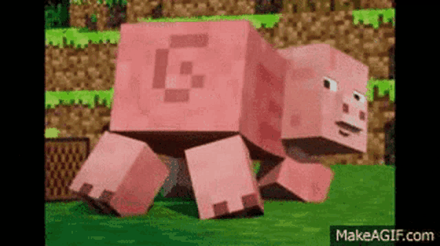 a minecraft pig with a g on its chest is walking on the grass .