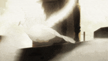 a person is holding a white bird in their hands