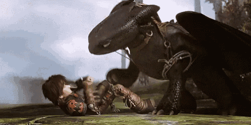 hiccup and toothless from how to train your dragon are fighting each other in a field .