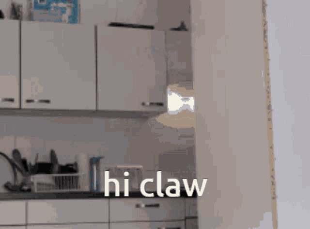 a picture of a kitchen with the words hi claw written on it